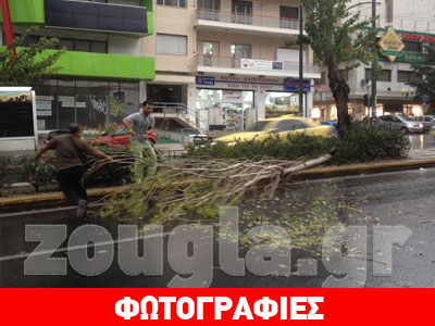 Προβλήματα στη Λ. Αλεξάνδρας λόγω πτώσης δέντρου