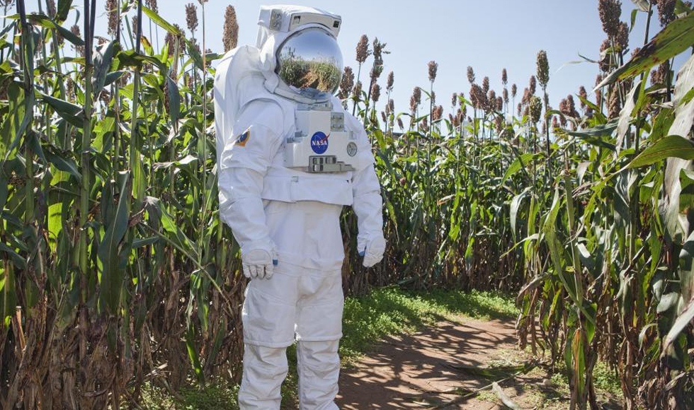 Λαχανικά στο διάστημα από τη NASA