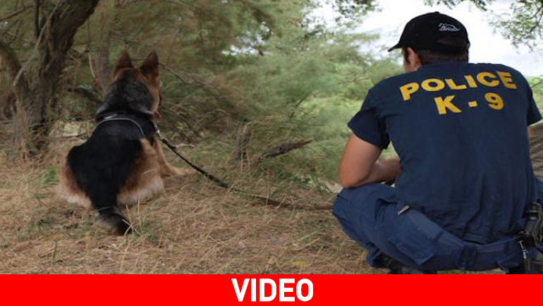 Τα τετράποδα λαγωνικά της ΕΛ.ΑΣ.