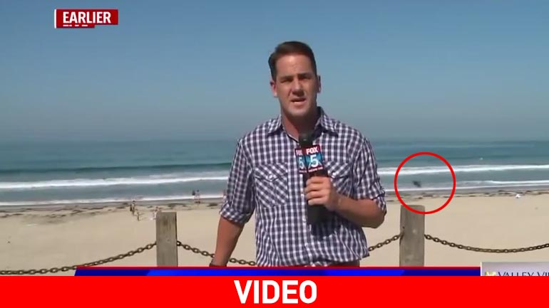 Ο ρεπόρτερ τρομοκρατήθηκε από ένα… έντομο