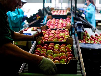 Tο εμπάργκο μείωσε τις ελληνικές εξαγωγές στη Ρωσία