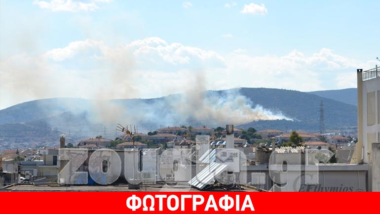 ΤΩΡΑ: Φωτιά στη Χασιά Αττικής
