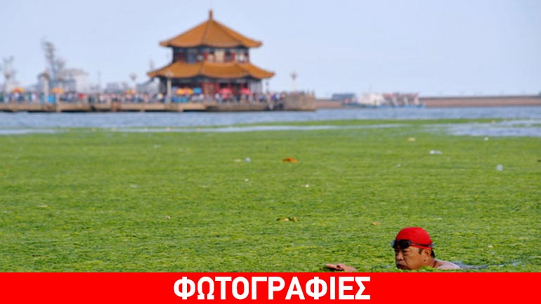 Βουτιές στην πράσινη παραλία