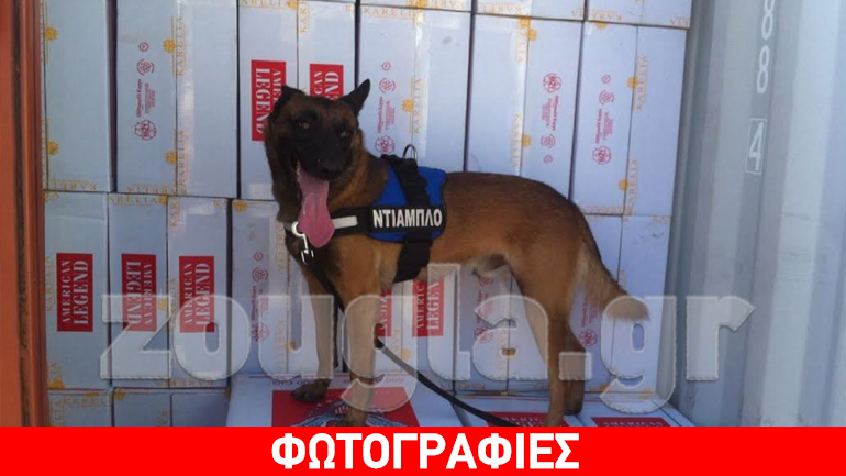 O Diablo του ΣΔΟΕ μύρισε λαθραία τσιγάρα-νέο πλήγμα στους λαθρεμπόρους