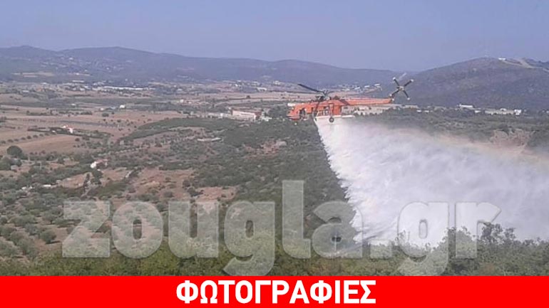 Σε εξέλιξη πυρκαγιά στα Βλάχικα Αυλώνος