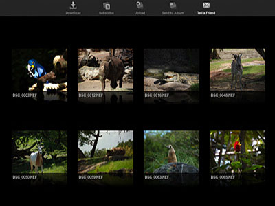 Bάση δεδομένων με 12 εκατομμύρια φωτογραφίες χωρίς πνευματικά δικαιώματα