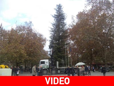 Τρίκαλα: Άρχισε ο στολισμός του ψηλότερου Χριστουγεννιάτικου δέντρου