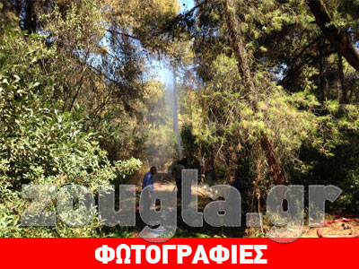 Φωτογραφίες από την επιχείρηση κατάσβεσης φωτιάς στην Εκάλη
