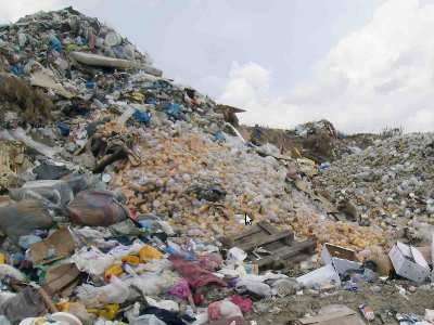 Στα σκουπίδια 181 κιλά τροφής