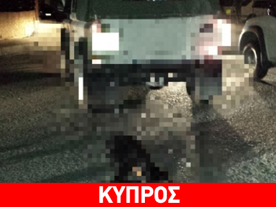 Κτηνωδία: Βασανισμός σκύλου μέχρι θανάτου
