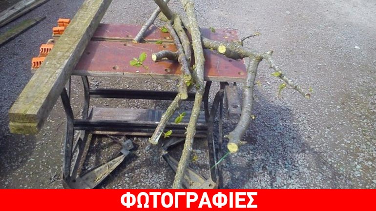 Μάζεψε κλαδάκια και έφτιαξε κάτι πολύ χρηστικό!