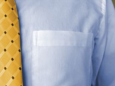 Tα καναρίνια της Βουλής