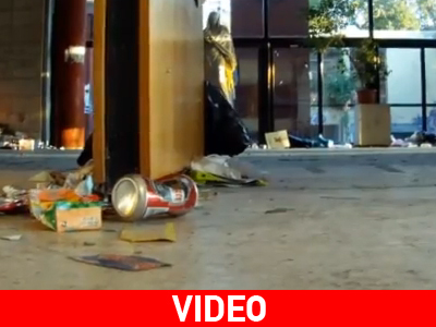 Ποντίκια και δυσωδία στο Αριστοτέλειο!