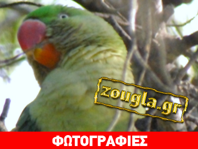 Πλούσια περιβαλλοντική εκπαίδευση στο Πάρκο Τρίτση