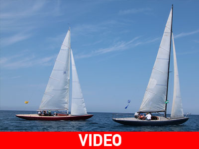 Οι θαλασσόλυκοι της Άνδρου…