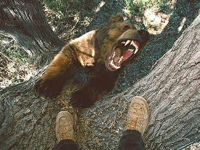 Zoυν με τον φόβο των αρκούδων Zoυν με τον φόβο των αρκούδων