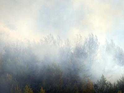 Φωτιά στην Καταθήκη του Δήμου Ερμιονίδας