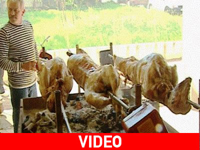 «Η φτώχεια θέλει καλοπέραση»