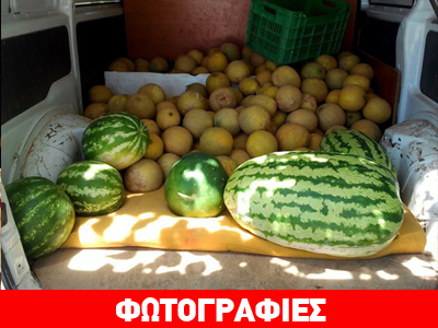 Καρπούζι-γίγας στη Σαρακίνα Καλαμπάκας