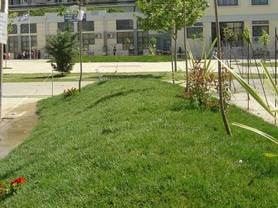 Πρασινίζουν οι αυλές των σχολείων του Βόλου