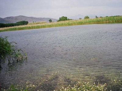 Λάρισα: Οικολογική κακοποίηση στη λίμνη Αργυροπουλίου