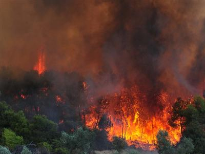 Πυρκαγιά στα Φάρσαλα