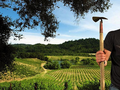 Εθελοντική εργασία και δωρεάν διακοπές Εθελοντική εργασία και δωρεάν διακοπές