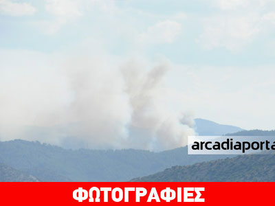 Υπό έλεγχο η φωτιά στη Σιλίμνα Αρκαδίας