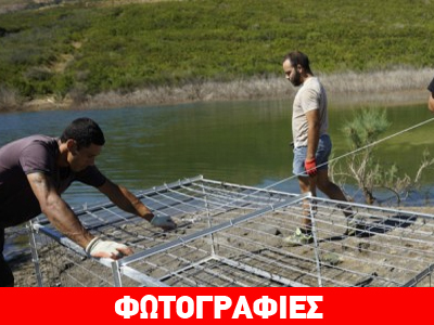 Στήνουν νέες παγίδες για τον… άπιαστο Σήφη