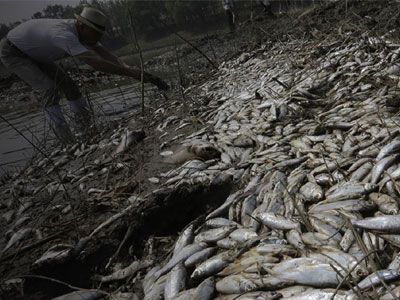 Οικολογική καταστροφή στις Σέρρες