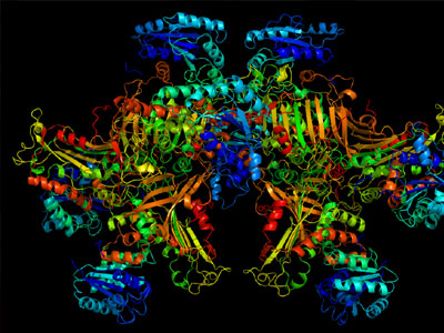 Έλλειψη ενζύμου G-6P.D