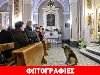 Σκύλος επισκέπτεται την εκκλησία όπου έγινε η κηδεία της αφεντικίνας του