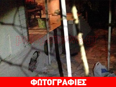 Έθαψε τη μάνα της στη βεράντα