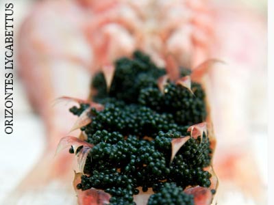 Οι βασίλισσες της Καθαράς Δευτέρας στο υψηλότερο σημείο της πόλης