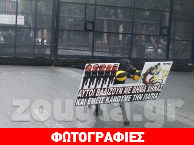 Ο σκύλος-διαδηλωτής της πλατείας