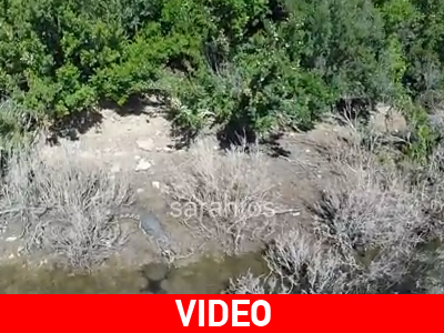 Νέο βίντεο με τον «Σήφη»