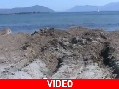 Πρέβεζα: Ο δήμος καταστρέφει την Κυανή Ακτή