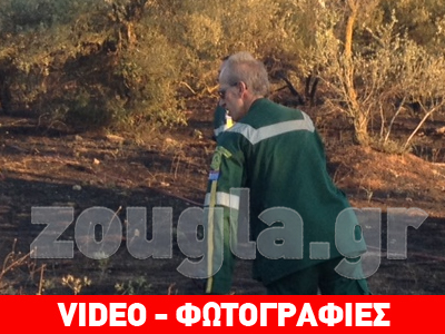 Kατασβέστηκε η φωτιά στον Ωρωπό