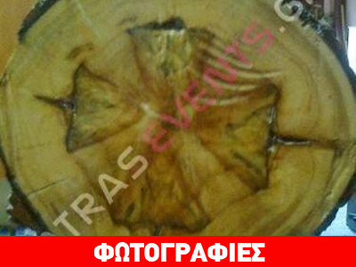 Θαύμα: Χαραγμένος σταυρός σε κορμό πεύκου