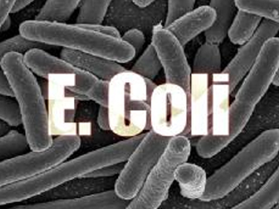 Προβληματισμός στους Έλληνες εξαγωγείς για το E-coli