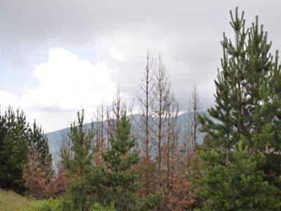 Μυστήριο με την εξαφάνιση 12 Tούρκων τουριστών στα Πιέρια Όρη