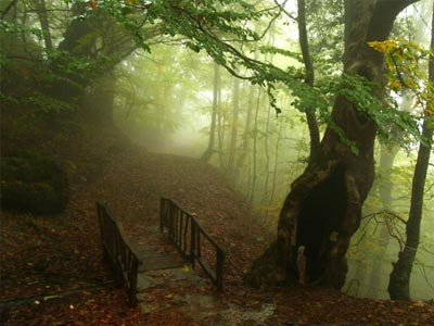 Toύρκοι τουρίστες αγνούνται στα Πιέρια Όρη