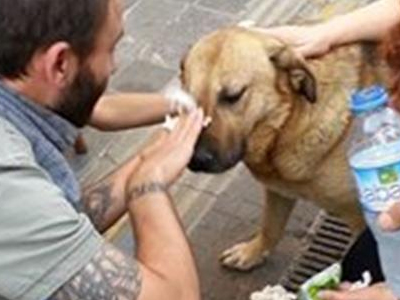 Ο «Λουκάνικος» της πλατείας Ταξίμ