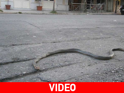 Δίμετρη απειλή στο κέντρο των Τρικάλων