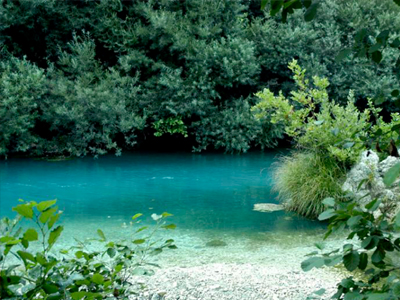 Χιλιάδες είδη φυτών διαθέτει η Ελλάδα