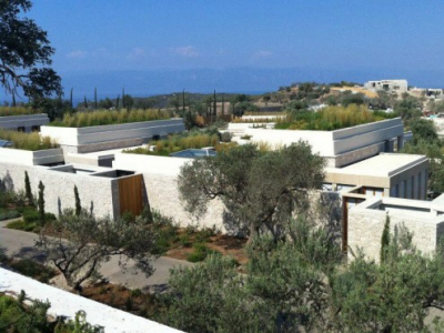 Ταρατσόκηπος-γίγας στο Κρανίδι Αργολίδας