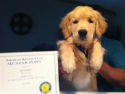 Το τυφλό κουταβάκι που ξετρέλανε το Διαδίκτυο