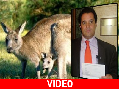 Τα καγκουρό του ΕΣΥ