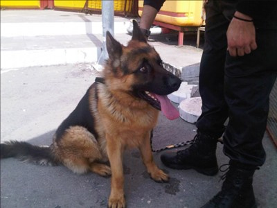 O Diego μύρισε οκτώ κιλά ηρωίνη