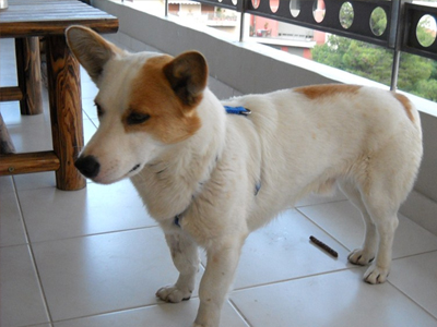 Χαρίζεται ο Μπεν